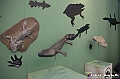 VBS_0858 - Dinosauri. Terra dei giganti